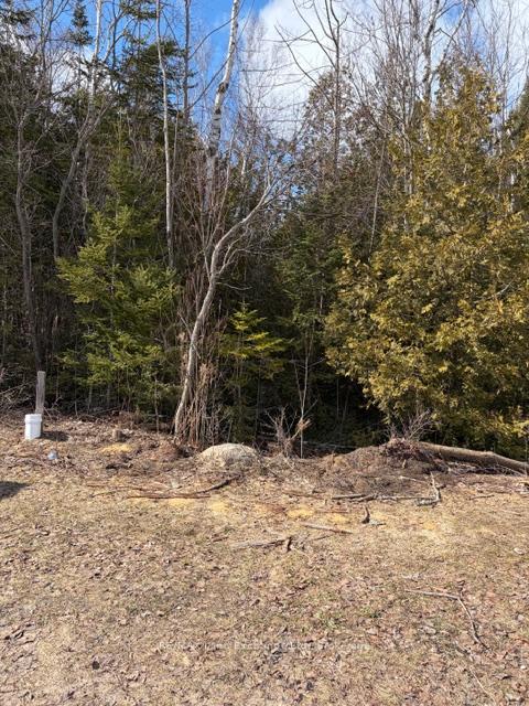 11 Lakeside Woods Crescent, Saugeen Shores — photo 2 of 4
