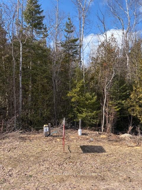 11 Lakeside Woods Crescent, Saugeen Shores — photo 3 of 4