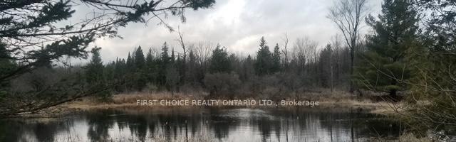 229 Norris Road, Tay Valley, ON K7H 3C6 — Tay Valley, Ontario
