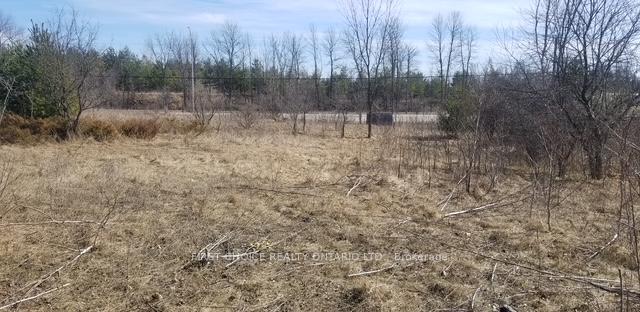 229 Norris Road, Tay Valley — photo 3 of 3