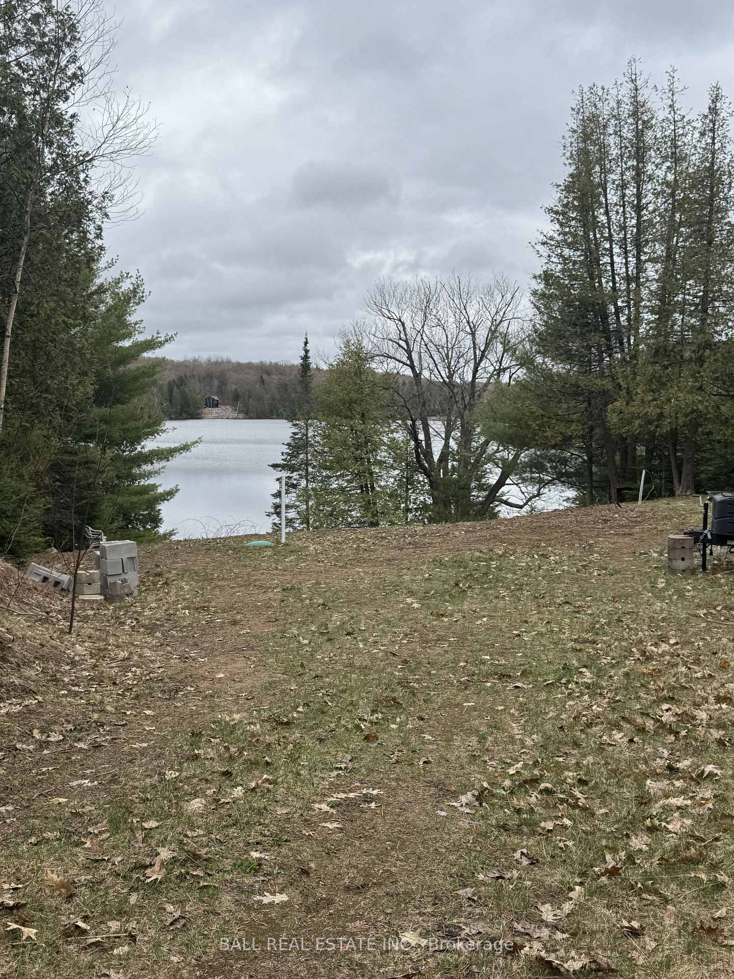 25 Fire Route 330 (Northshore Rd) N/A, Trent Lakes — photo 4 of 5