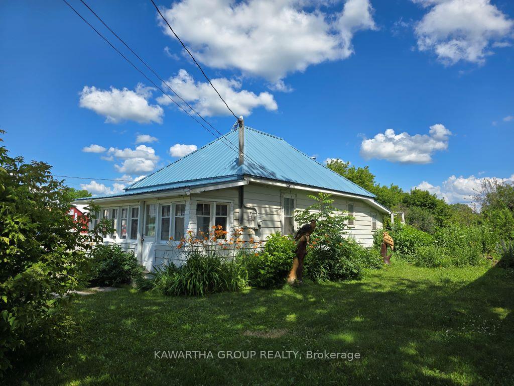 129 Lindsay Street, Kawartha Lakes — photo 2 of 5