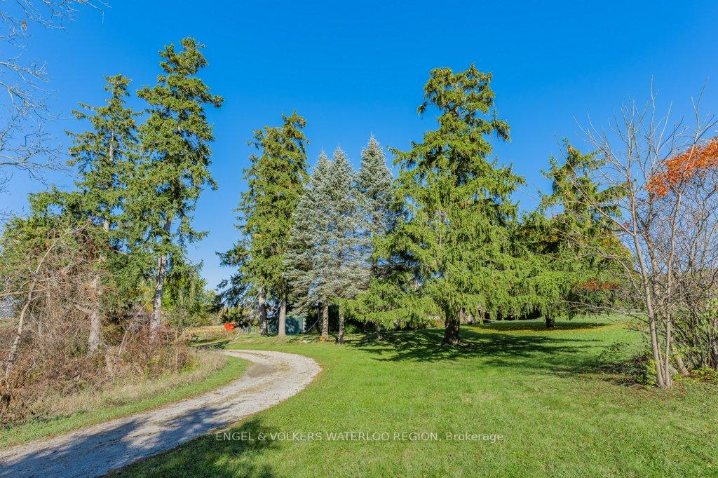 1373 Edworthy Side Road, North Dumfries — photo 4 of 5