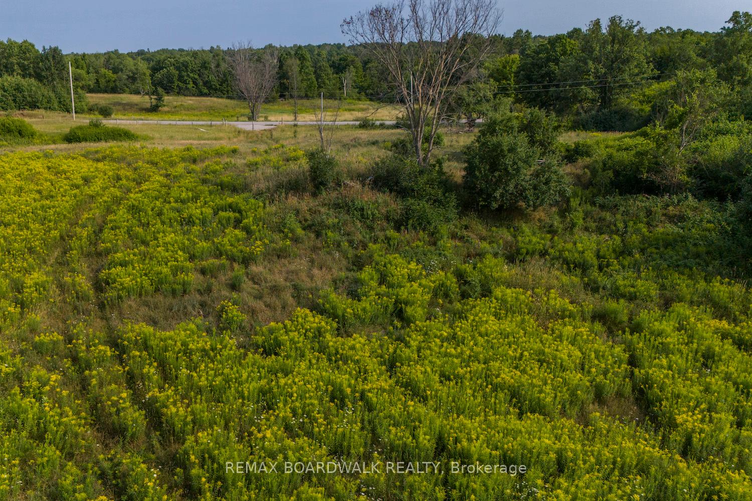 816 Bennett Lake Road, Tay Valley — photo 2 of 5