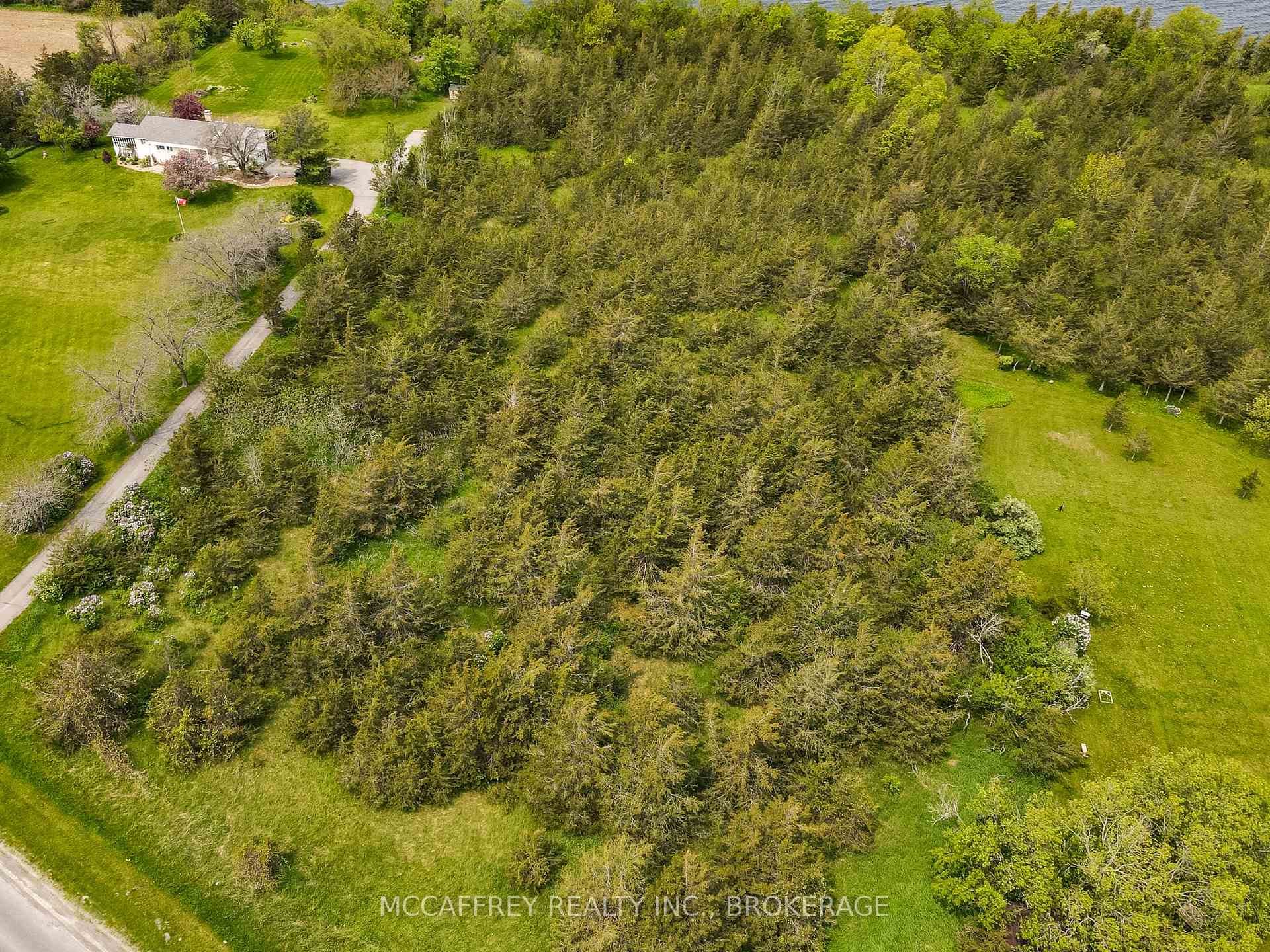 PT LT63 COUNTY RD 7 N/A, Prince Edward County — photo 3 of 5