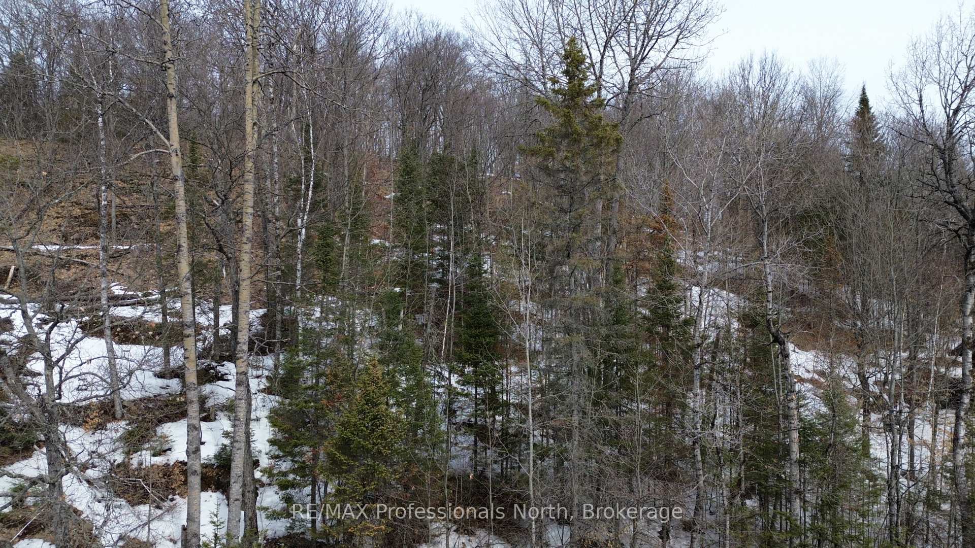 0 Trapper's Trail Road, Dysart et al — photo 2 of 5