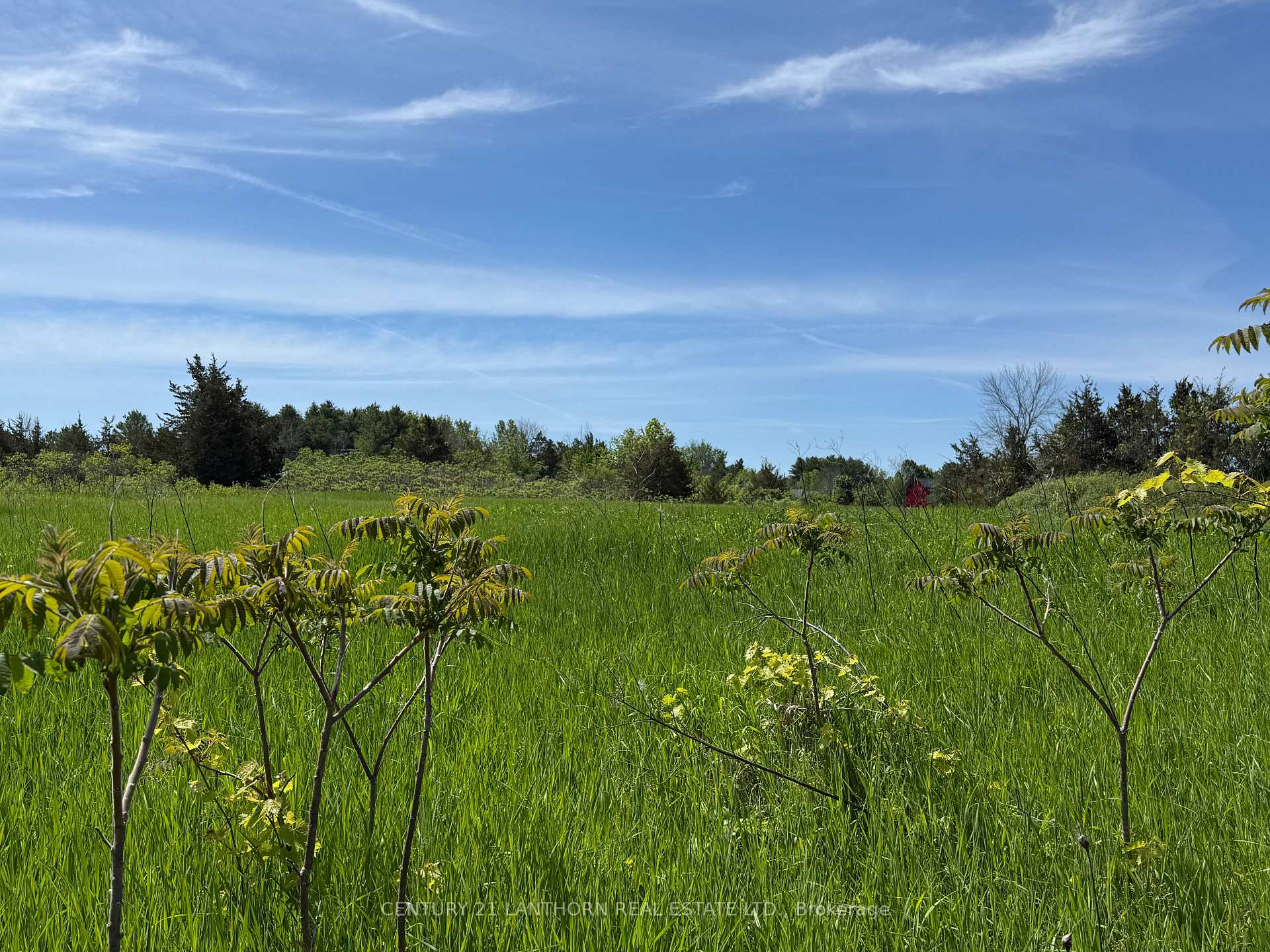 Lot 58 Prinyer's Cove Crescent, Prince Edward County — photo 3 of 5