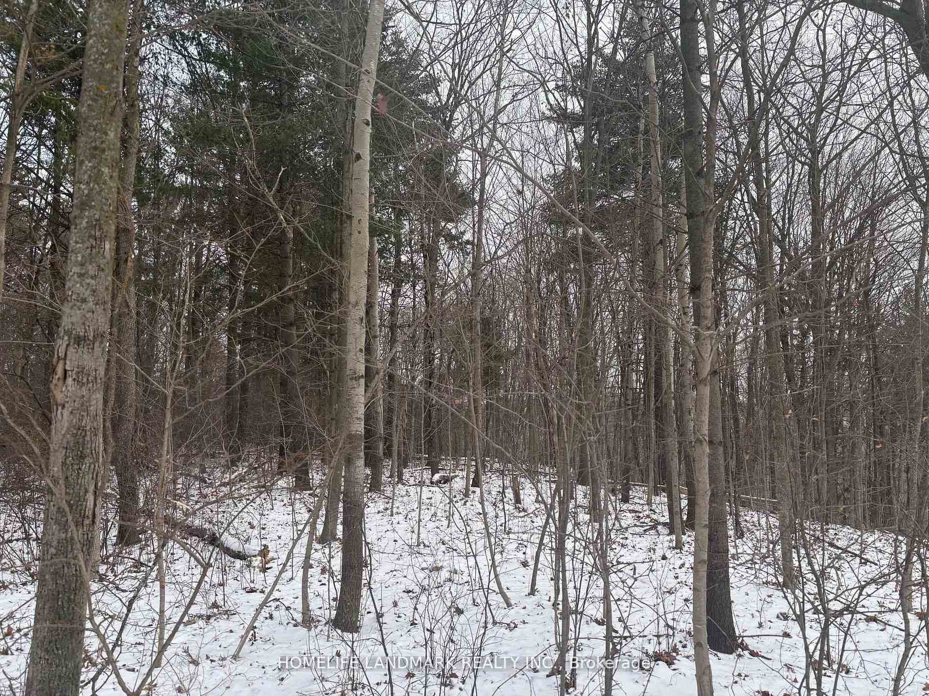 LT 45 CON 7 EBR LINDSAY N/A, Northern Bruce Peninsula, ON N0H 1Z0 — Northern Bruce Peninsula, Ontario