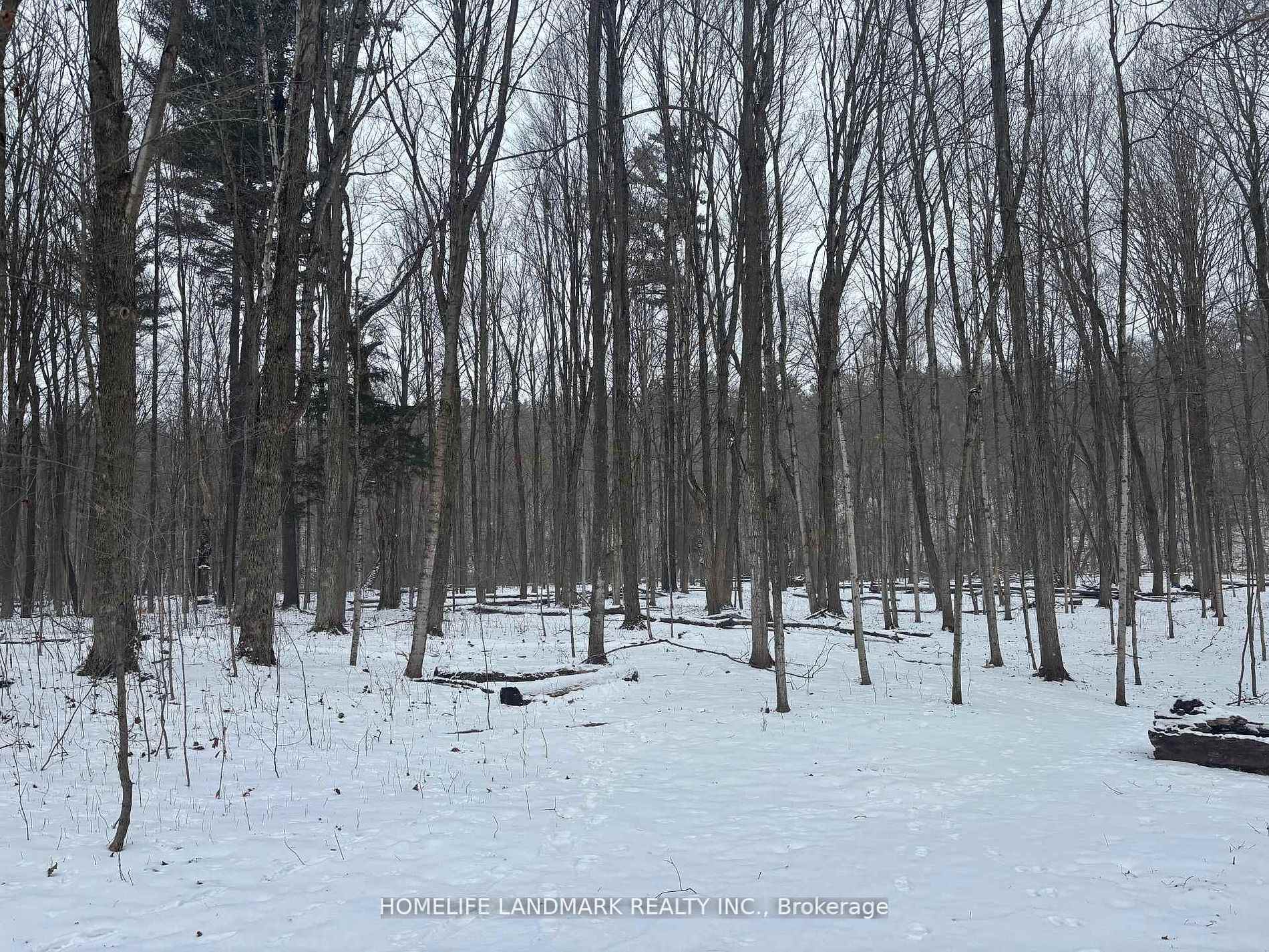 LT 45 CON 7 EBR LINDSAY N/A, Northern Bruce Peninsula — photo 2 of 5