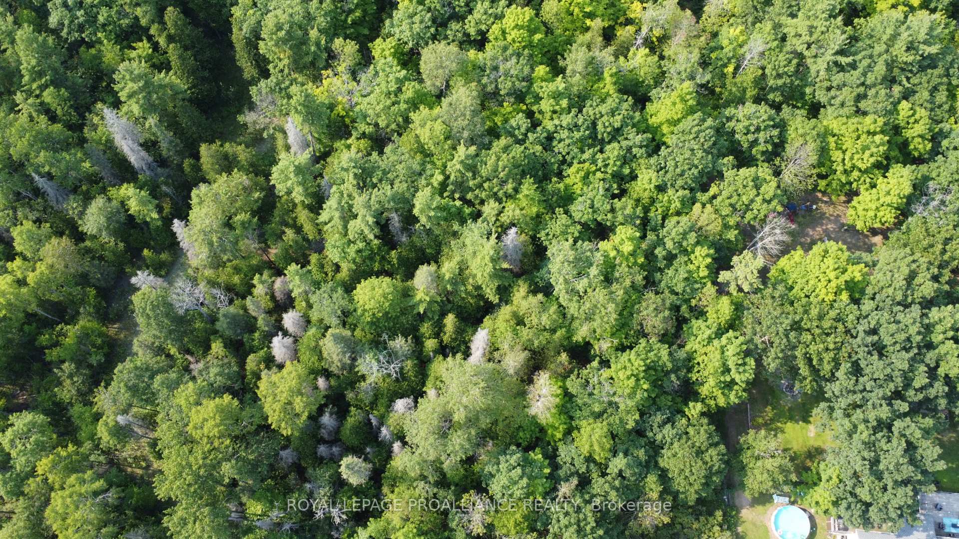 Lot 7 Rockhaven Crescent, Marmora and Lake — photo 4 of 5