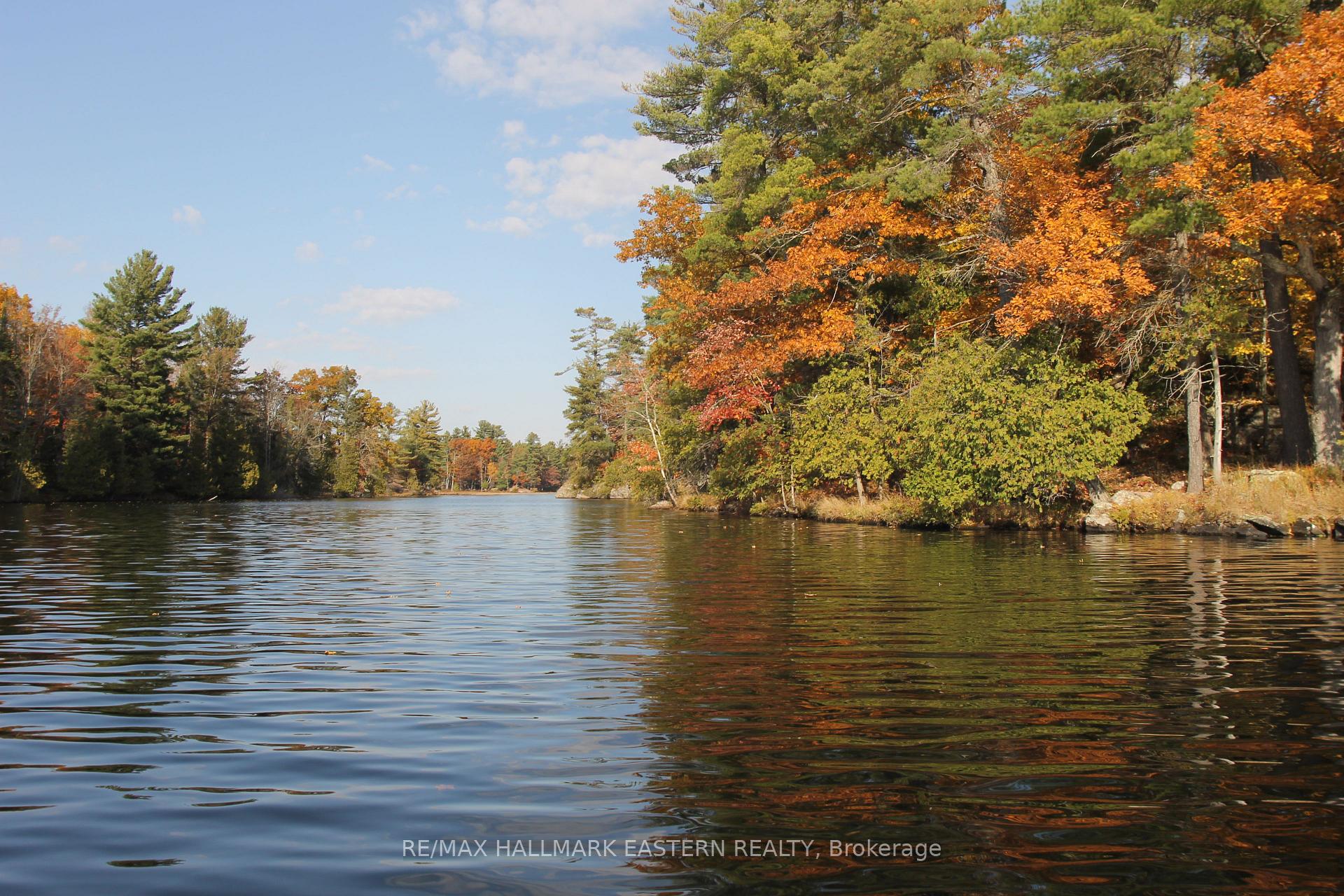 C280 Lower Buckhorn Lake N/A Lot 1, Trent Lakes — photo 2 of 5