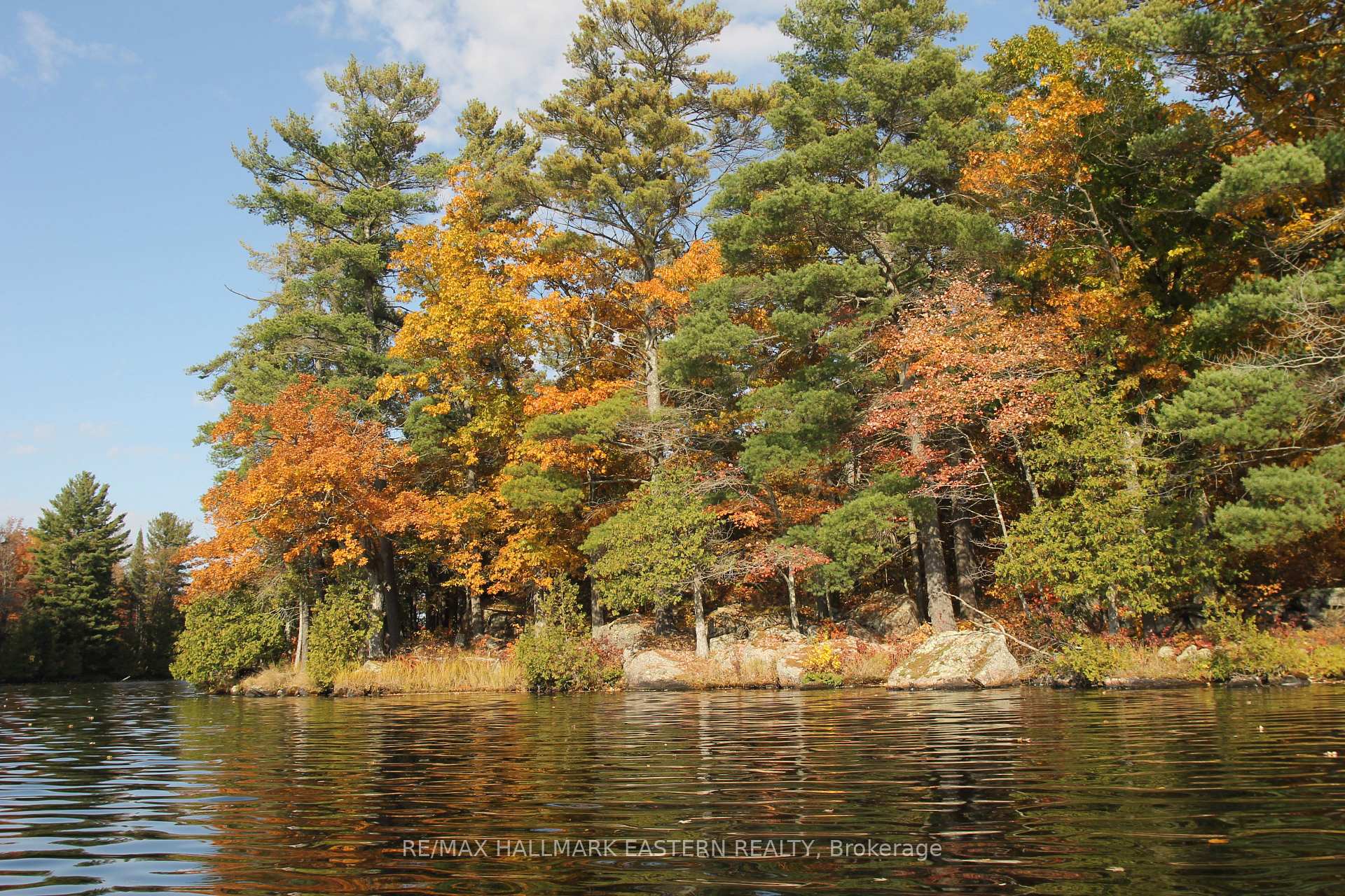 C280 Lower Buckhorn Lake N/A Lot 1, Trent Lakes — photo 3 of 5