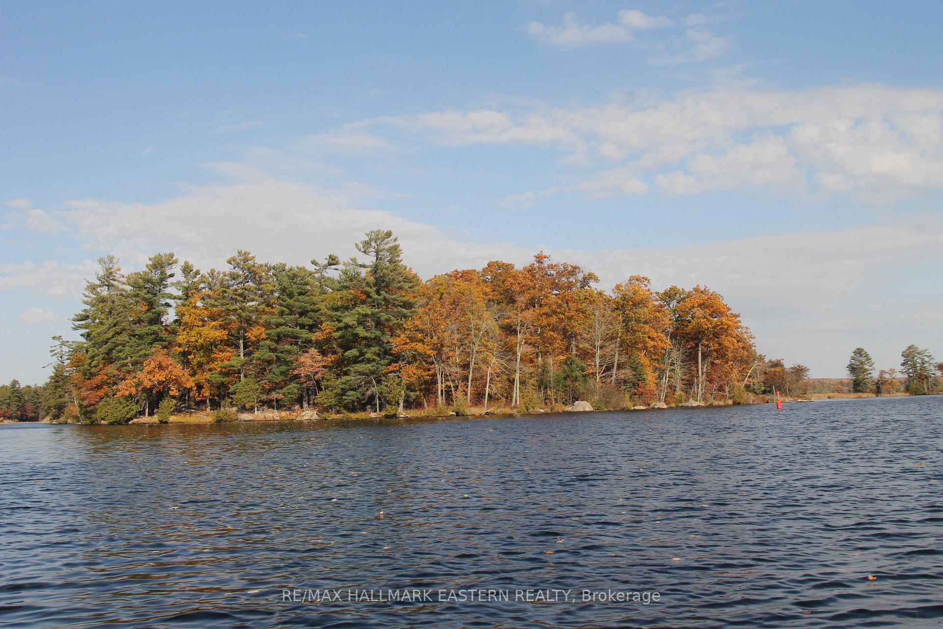 C280 Lower Buckhorn Lake N/A Lot 1, Trent Lakes — photo 4 of 5