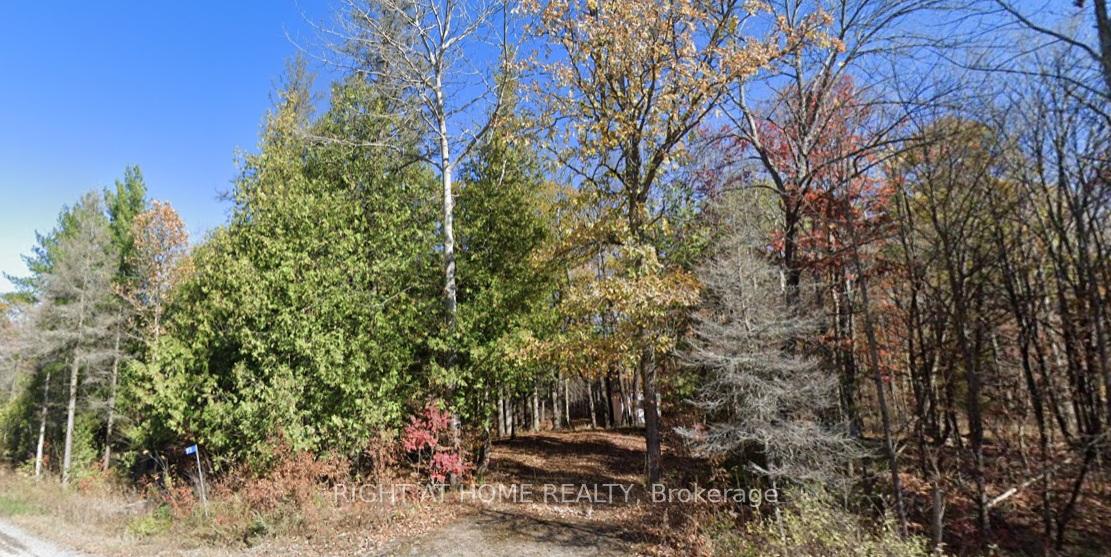 93 McCleary Road, Marmora and Lake, ON K0K 2M0