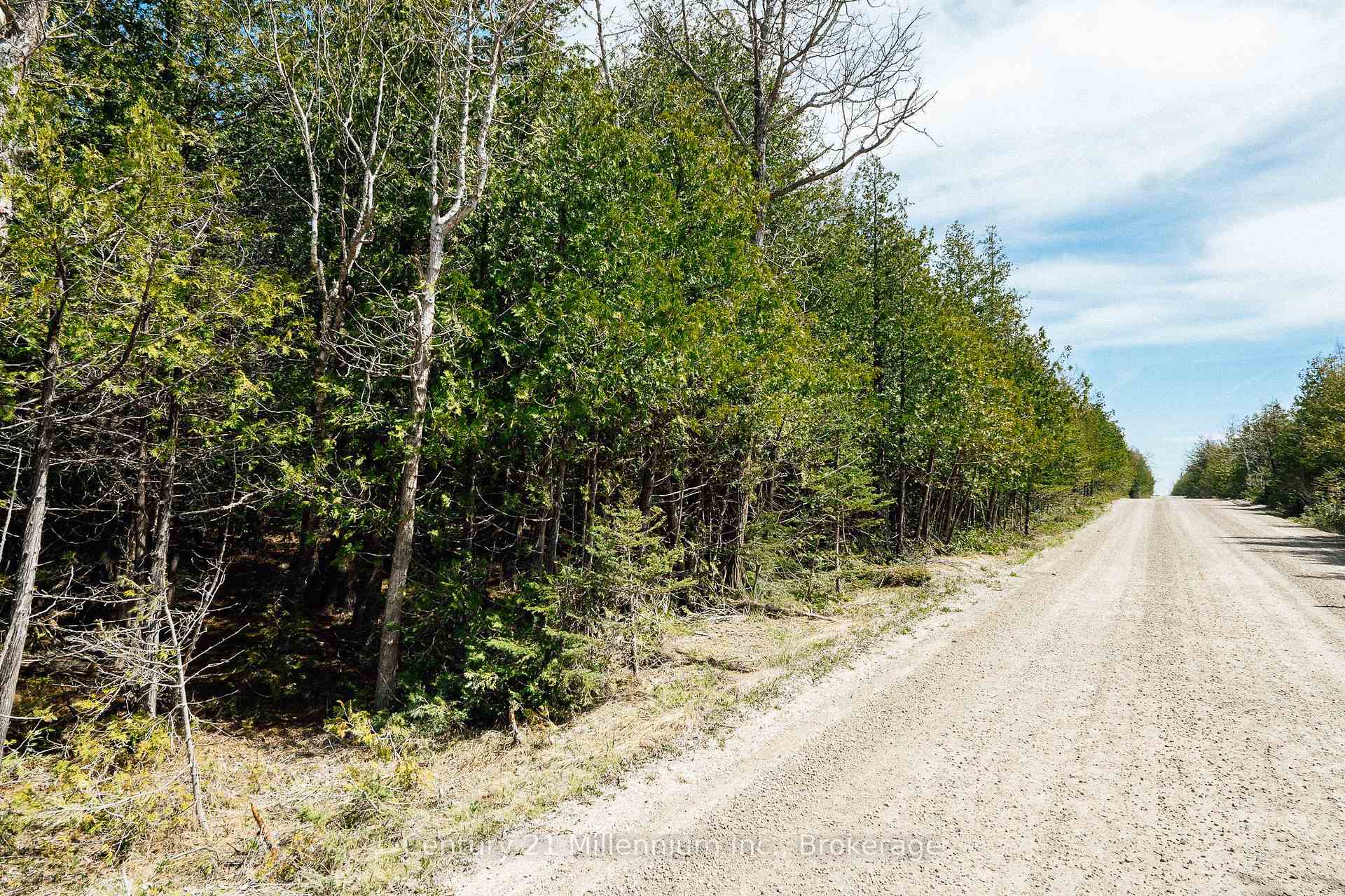 LT 12 CON 2 WBR LINDSAY N/A, Northern Bruce Peninsula — photo 5 of 5