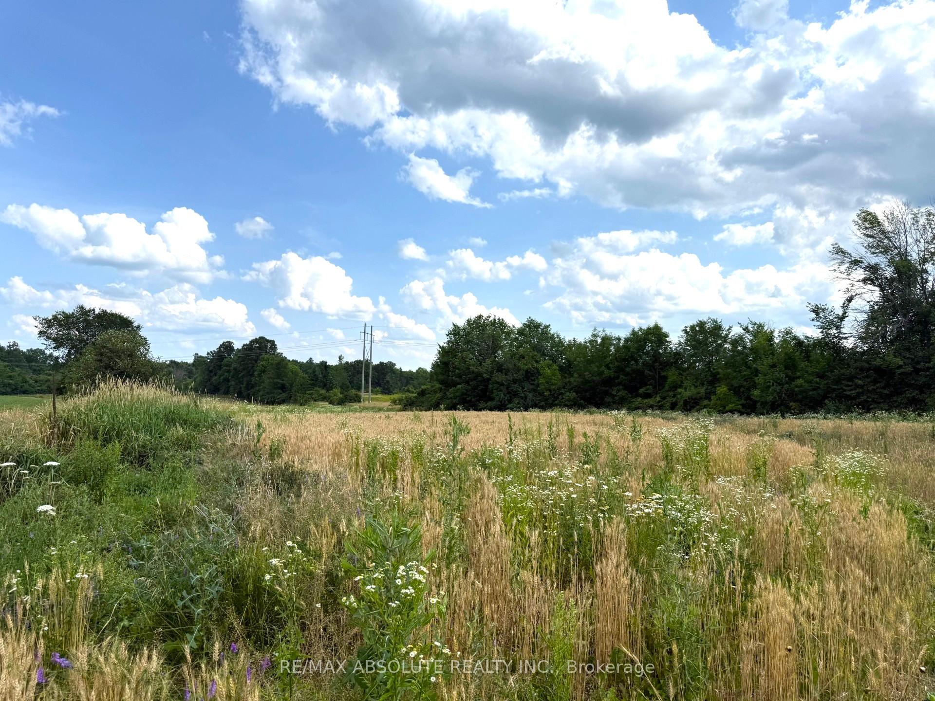 702 Part 18 Flat Rapids Road, McNab/Braeside — photo 4 of 5