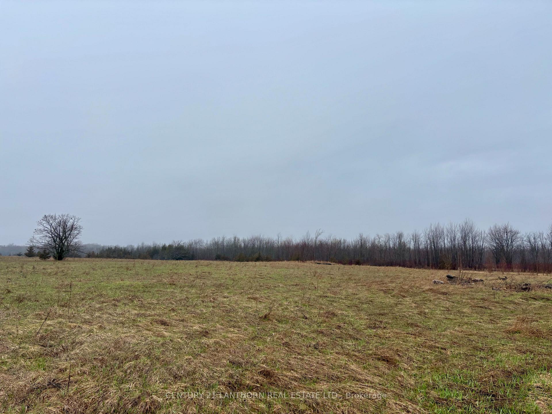 00 Mitchells Cross Road, Prince Edward County — photo 4 of 5