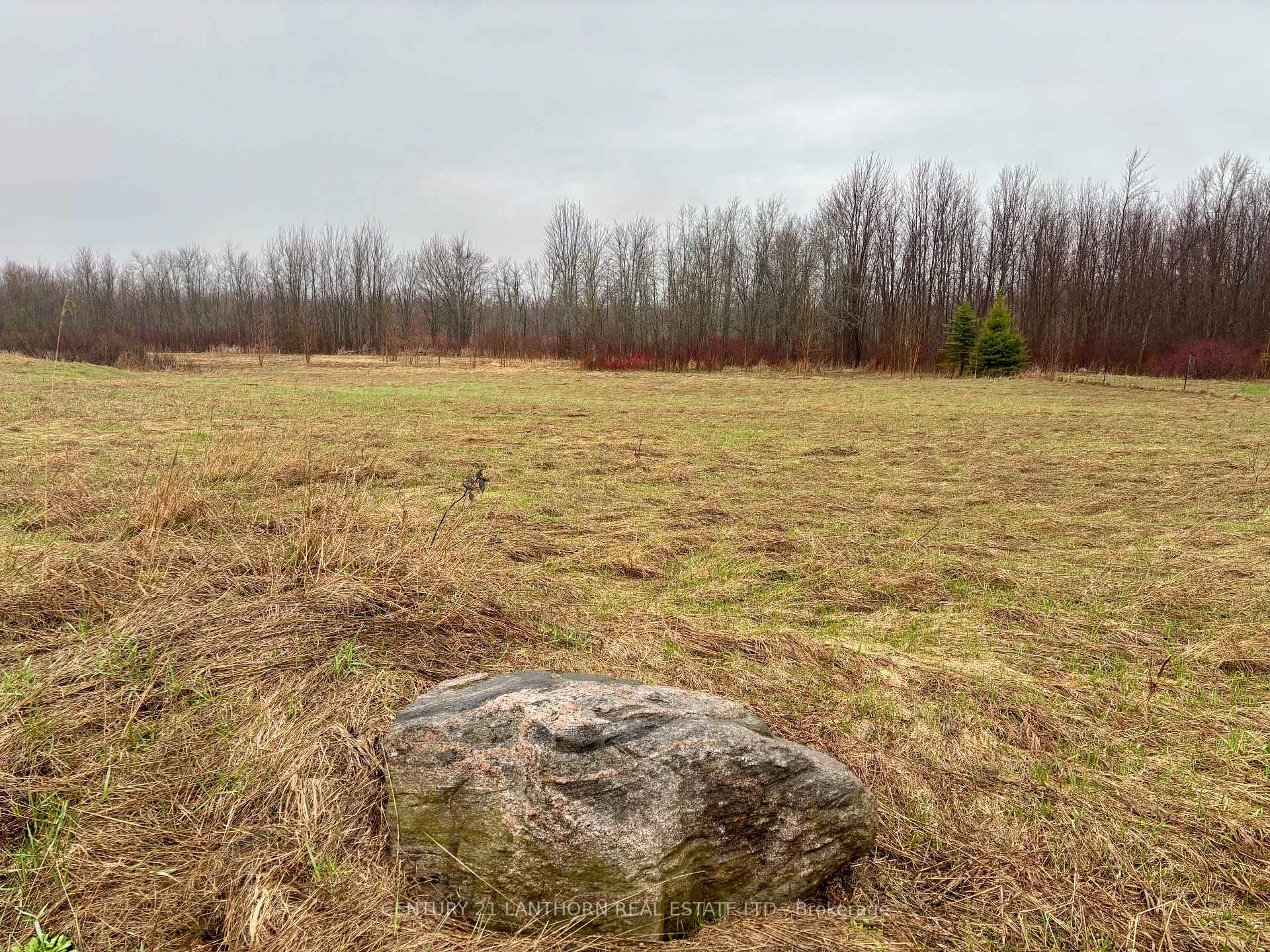 00 Mitchells Cross Road, Prince Edward County — photo 5 of 5