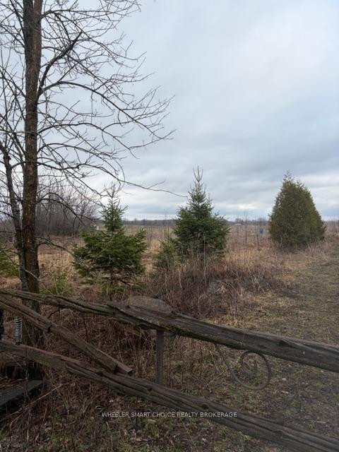 00000 North Lunenburg Road, South Stormont — photo 3 of 5