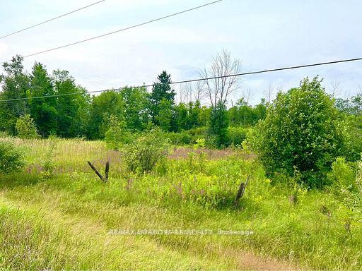 20010 Highway 7 Highway, Tay Valley — photo 3 of 5