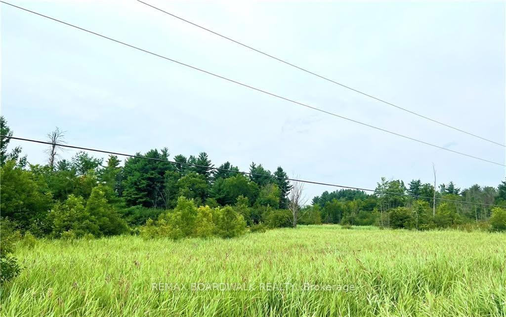 20010 Highway 7 Highway, Tay Valley — photo 4 of 5