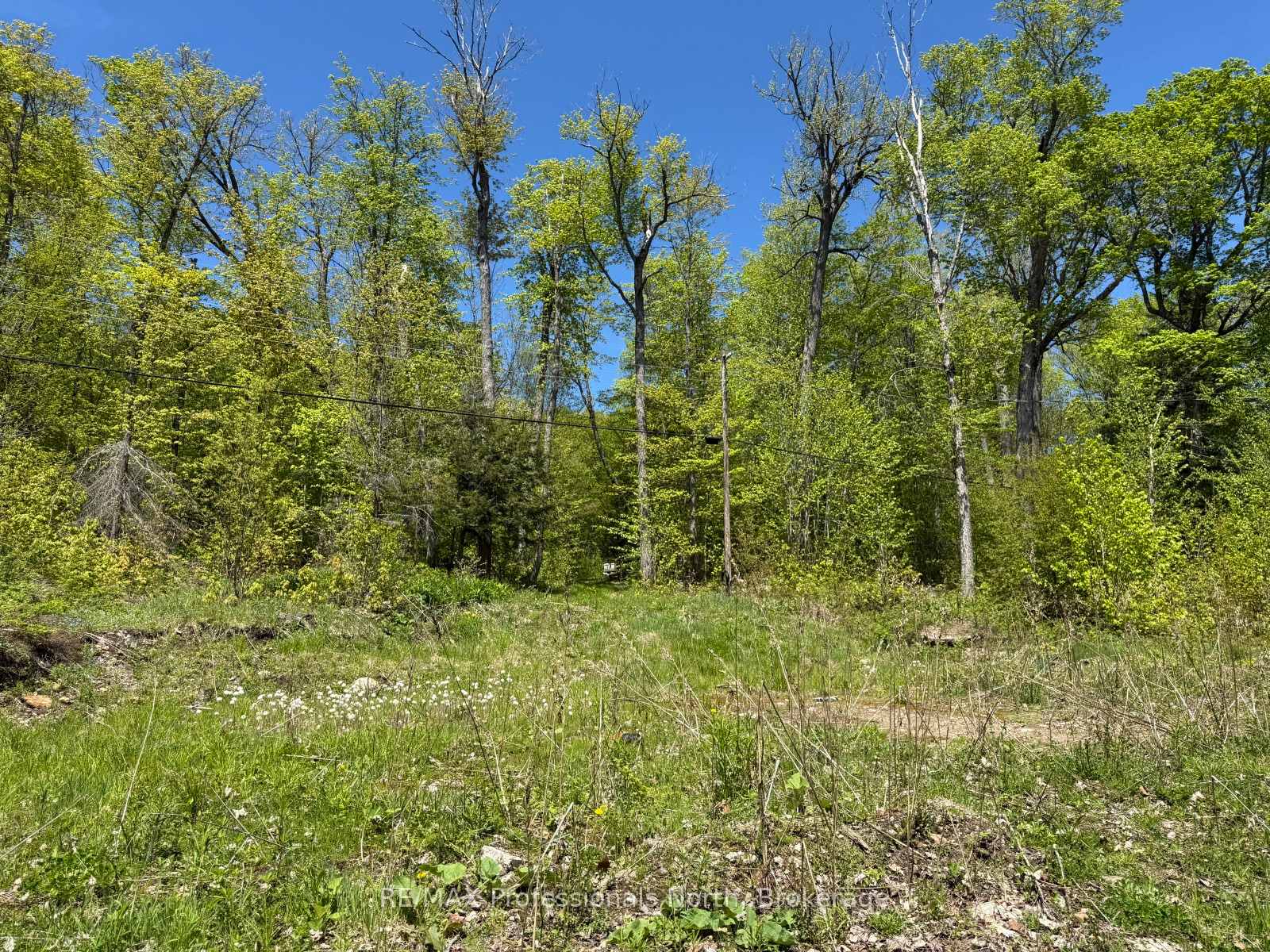 2612 Wilkinson Road, Dysart et al — photo 4 of 5