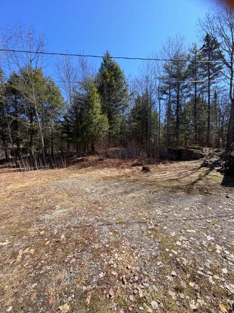 1464 Buckslide Road, Algonquin Highlands — photo 2 of 5