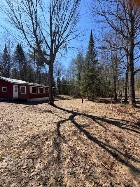 1464 Buckslide Road, Algonquin Highlands — photo 3 of 5