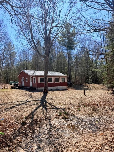 1464 Buckslide Road, Algonquin Highlands — photo 5 of 5