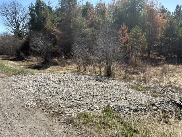 0000 COUNTY ROAD 16 Road, Merrickville-Wolford — photo 2 of 5