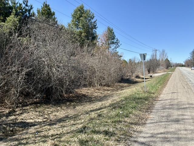 0000 COUNTY ROAD 16 Road, Merrickville-Wolford — photo 3 of 5