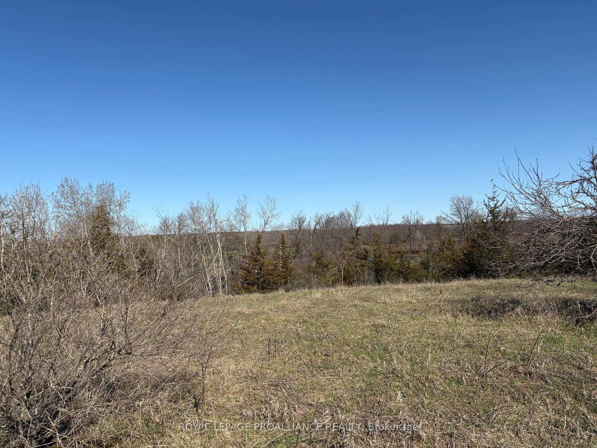 1880 13th Line E, Trent Hills — photo 3 of 5