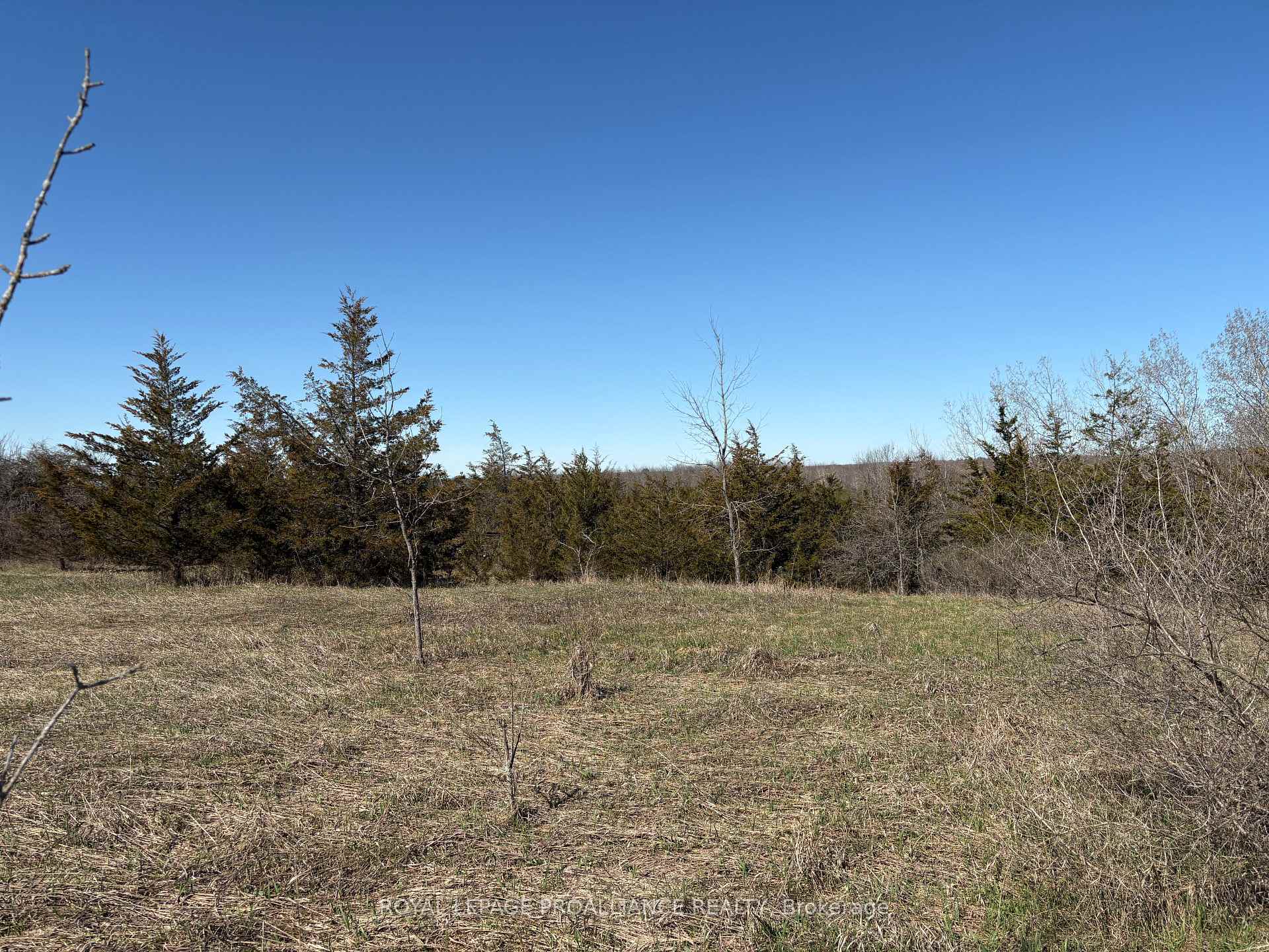 1880 13th Line E, Trent Hills — photo 4 of 5