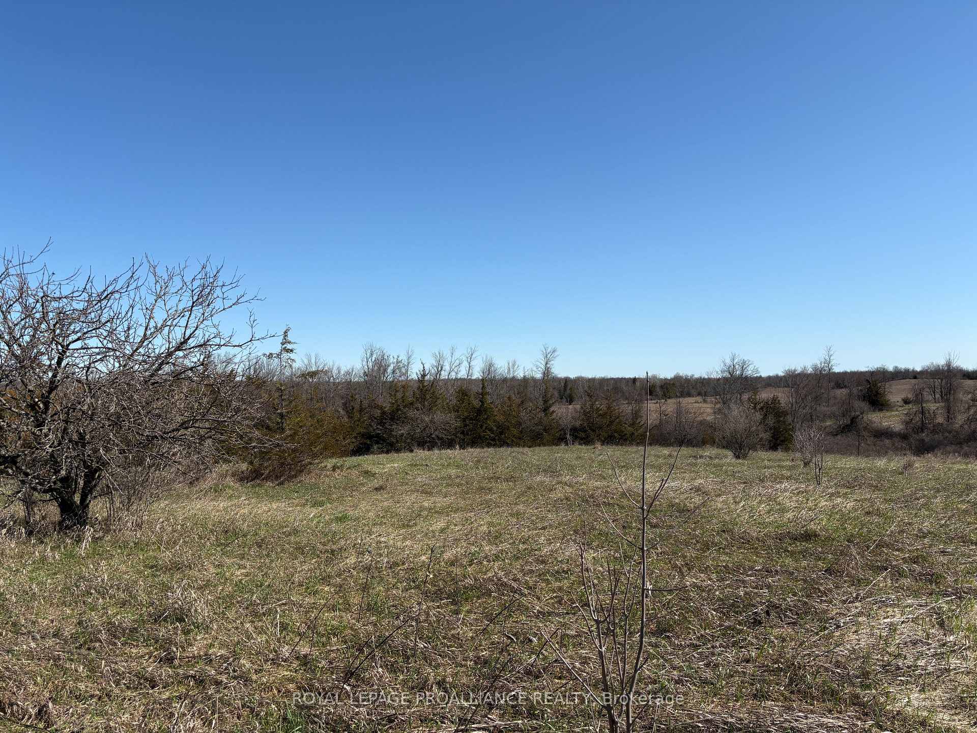 1880 13th Line E, Trent Hills — photo 5 of 5