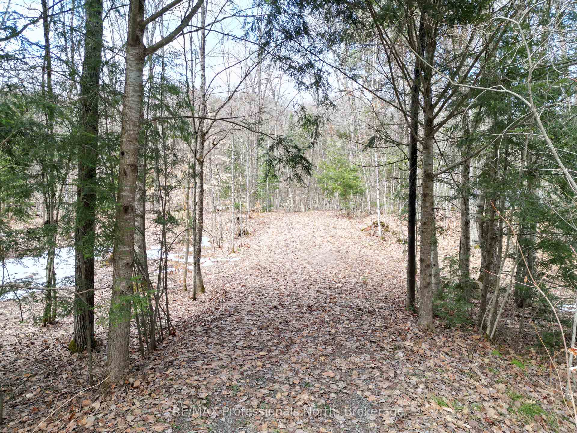 1231 Big Hawk Lake Road, Algonquin Highlands, ON K0M 1J2 — Algonquin Highlands, Ontario