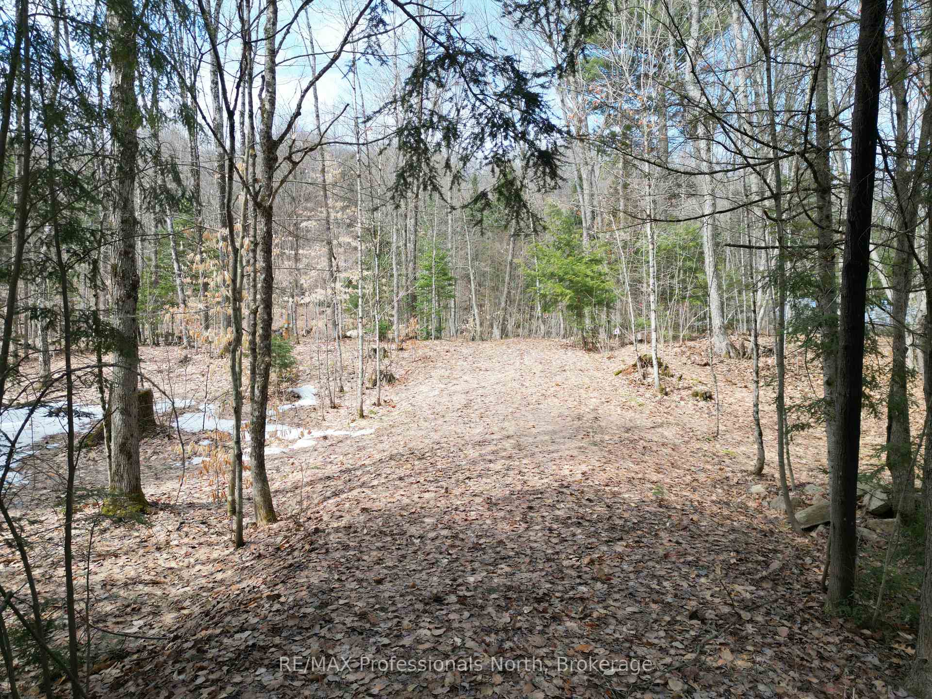 1231 Big Hawk Lake Road, Algonquin Highlands — photo 2 of 5