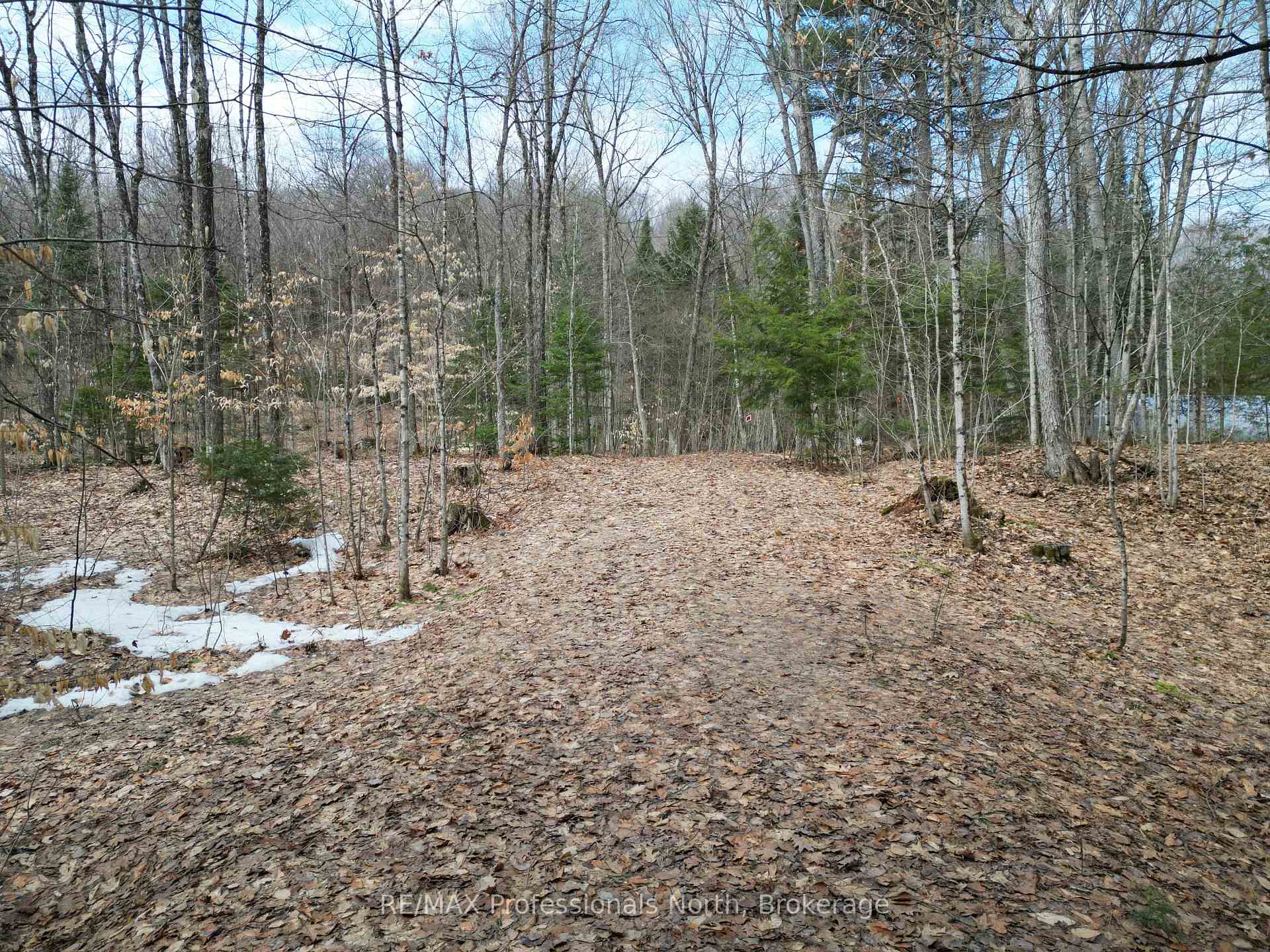 1231 Big Hawk Lake Road, Algonquin Highlands — photo 3 of 5