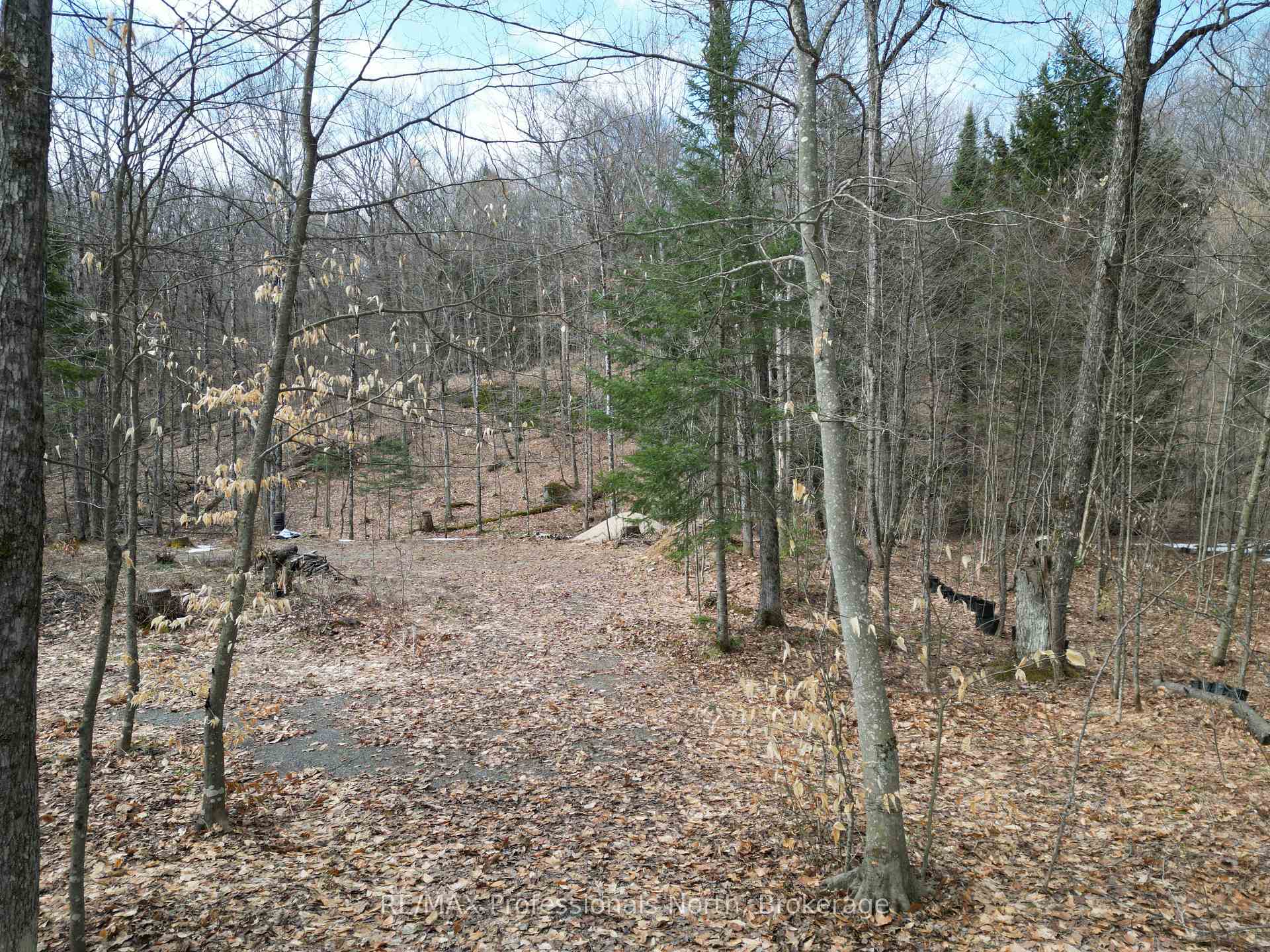 1231 Big Hawk Lake Road, Algonquin Highlands — photo 4 of 5