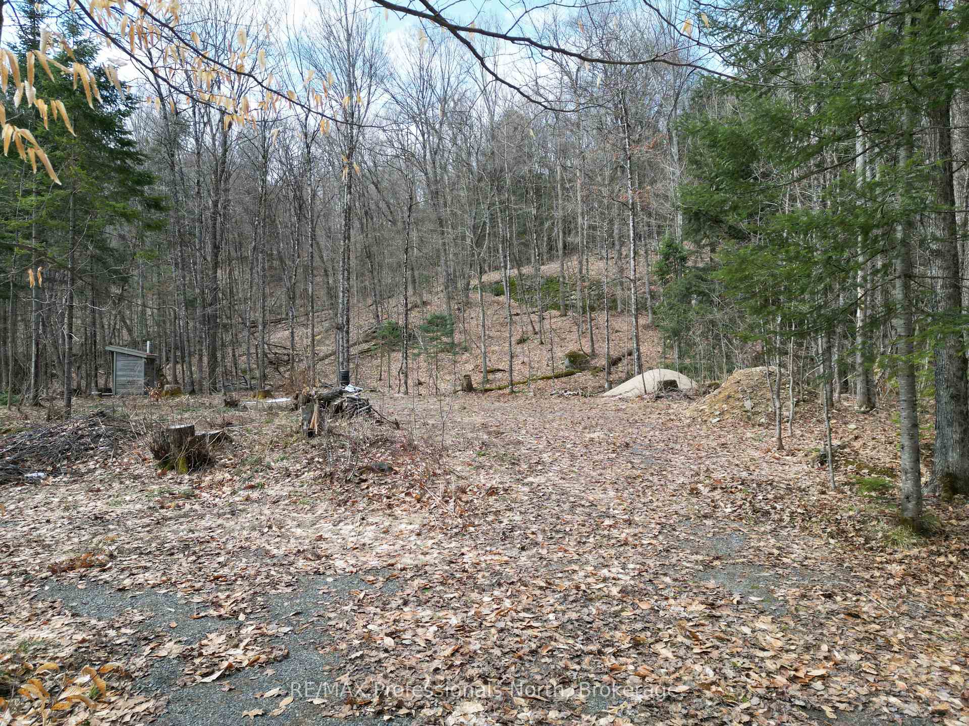 1231 Big Hawk Lake Road, Algonquin Highlands — photo 5 of 5