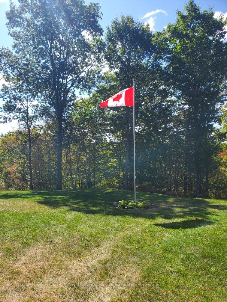 1143 Trillium Trail, Dysart et al — photo 5 of 5