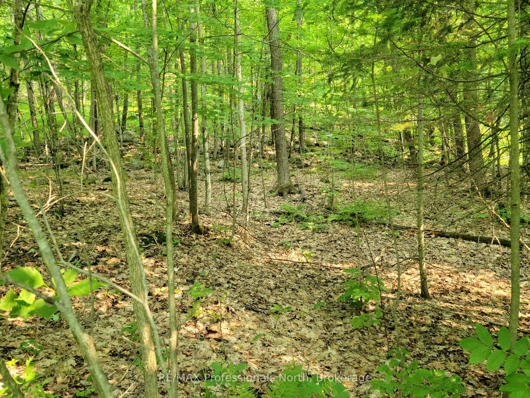 32 MOUNT VERNON Trail 22, Huntsville, ON P1H 1E3