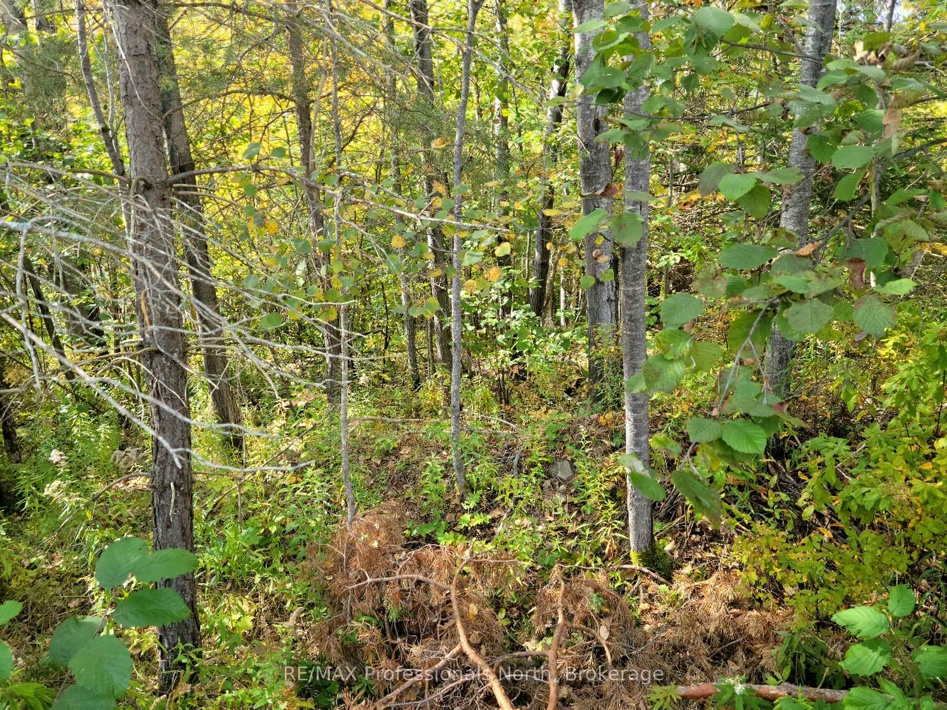 4 FOX RUN Lane 32, Huntsville, ON P1H 1E3