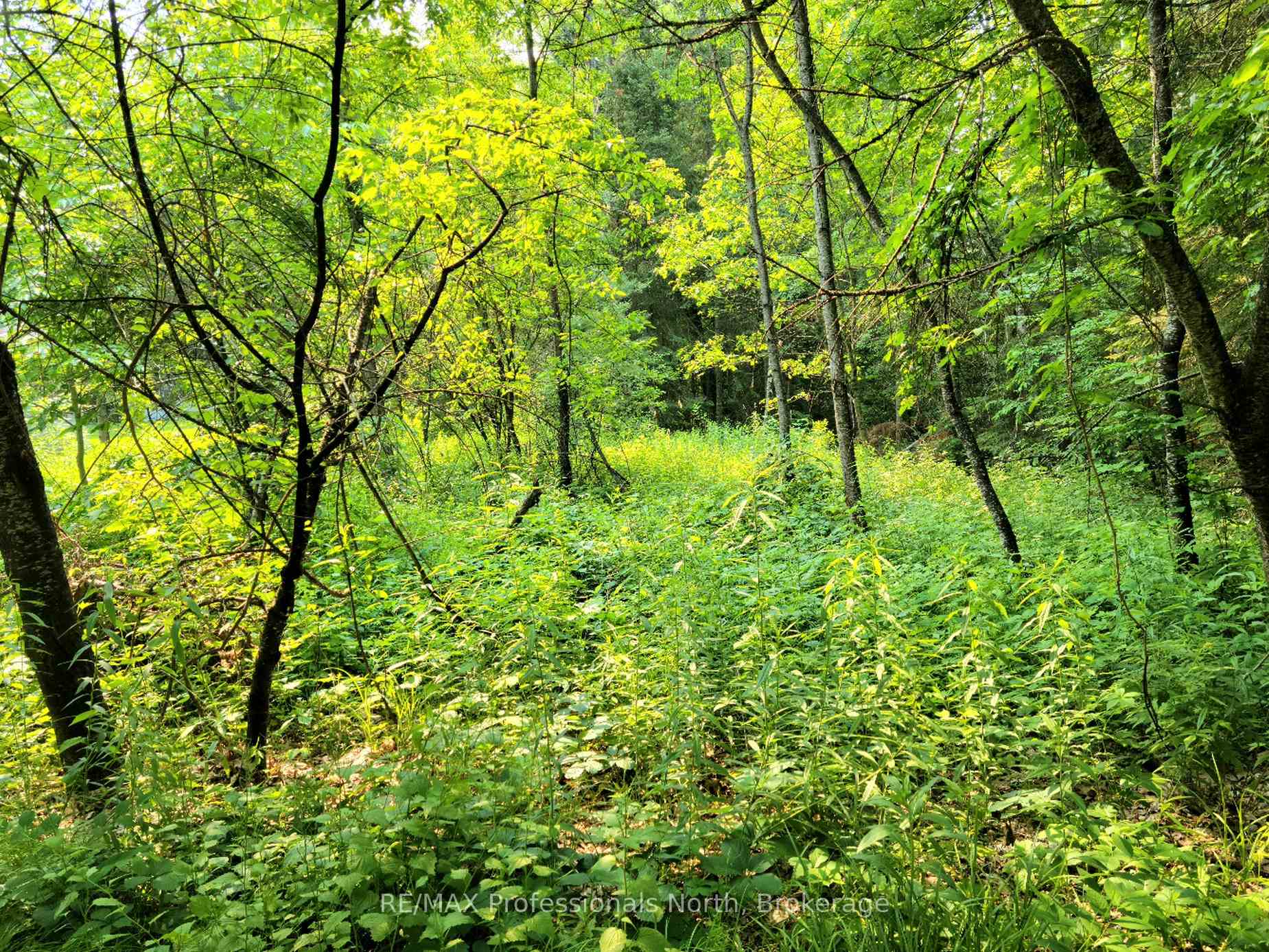 35 MOUNT VERNON Trail 26, Huntsville, ON P1H 1E3