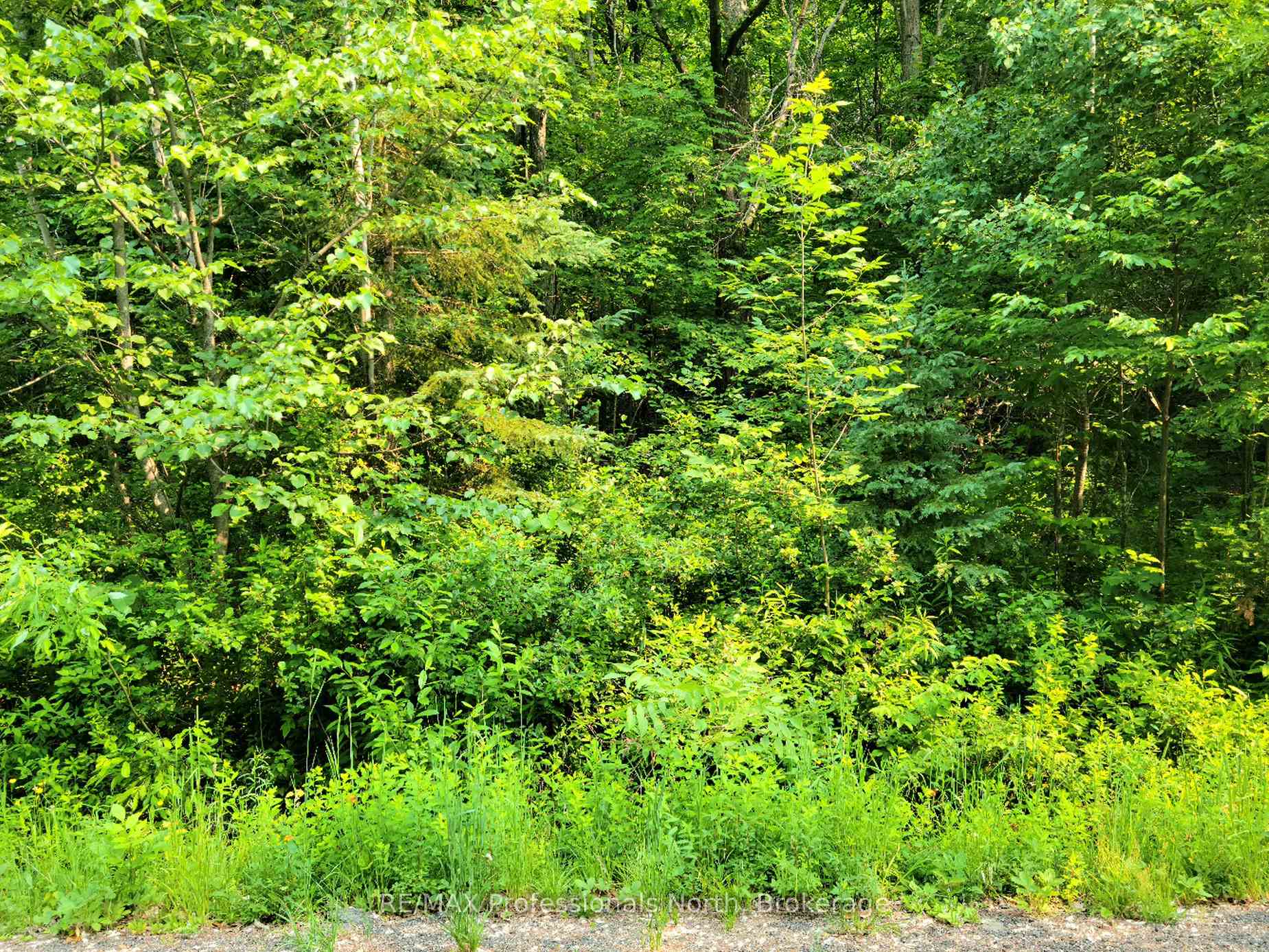 26 MOUNT VERNON Trail 19, Huntsville, ON P1H 1E3