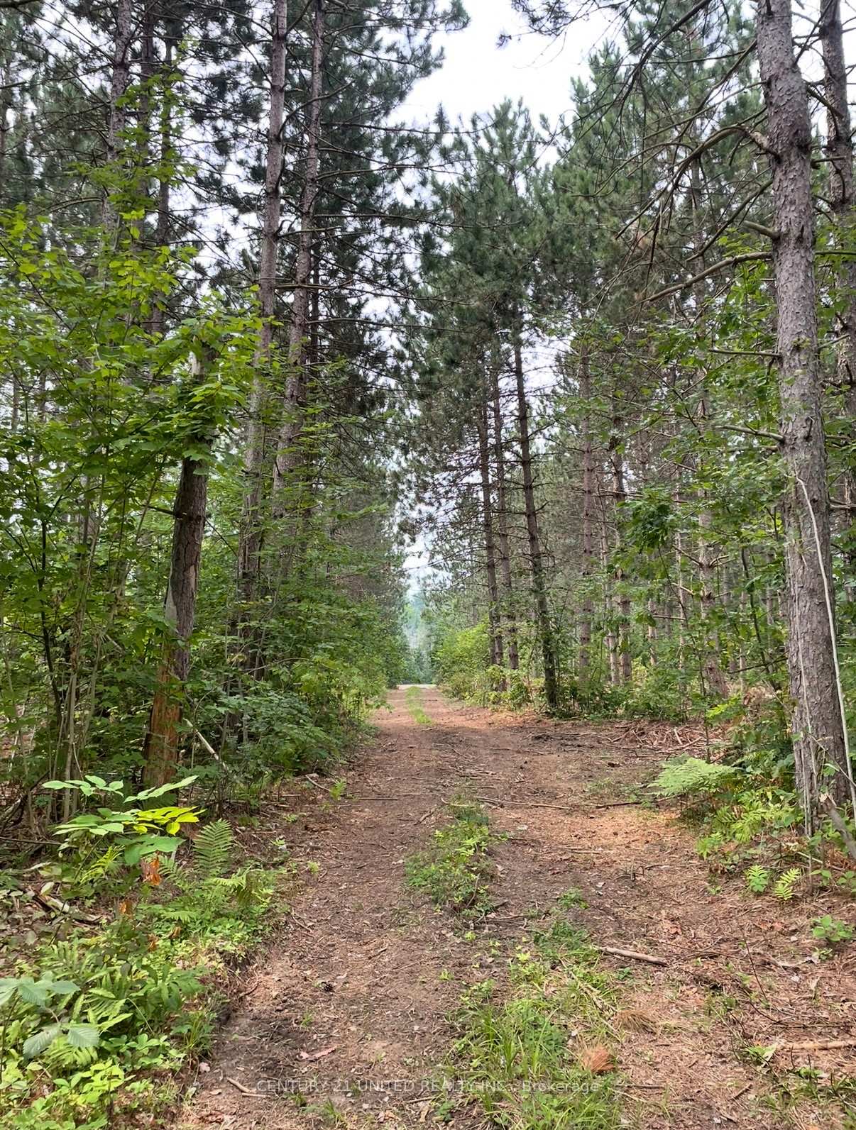0 Government Road, Whitewater Region, ON K0J 1C0