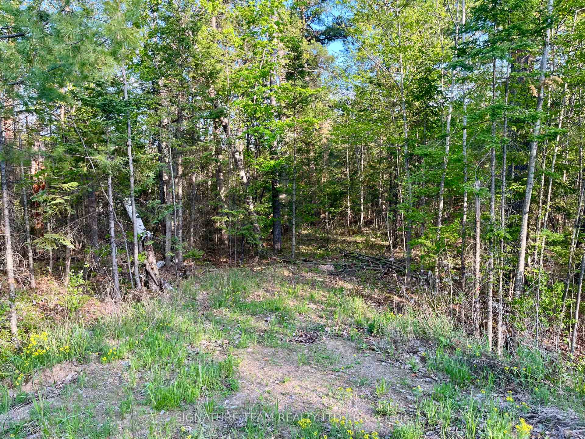 0 Foymount Road, Bonnechere Valley, ON K0J 1T0 — Bonnechere Valley, Ontario