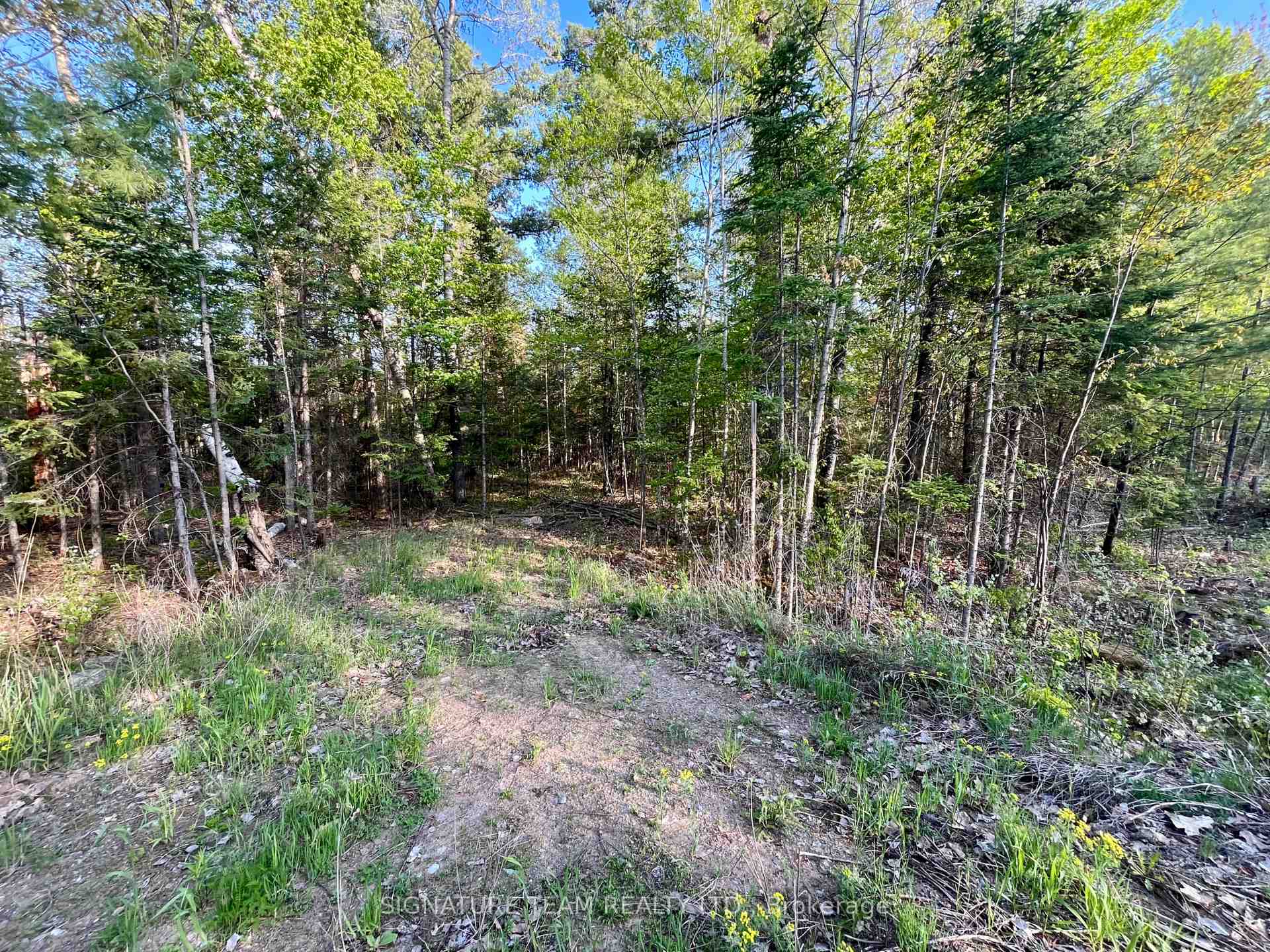 0 Foymount Road, Bonnechere Valley — photo 2 of 5