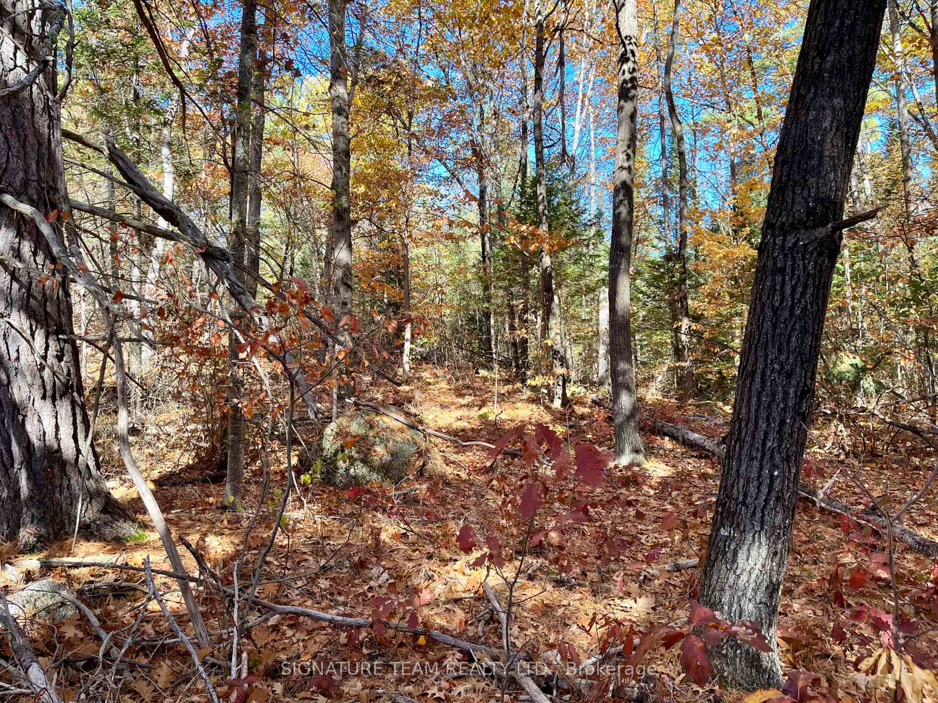 0 Foymount Road, Bonnechere Valley — photo 5 of 5