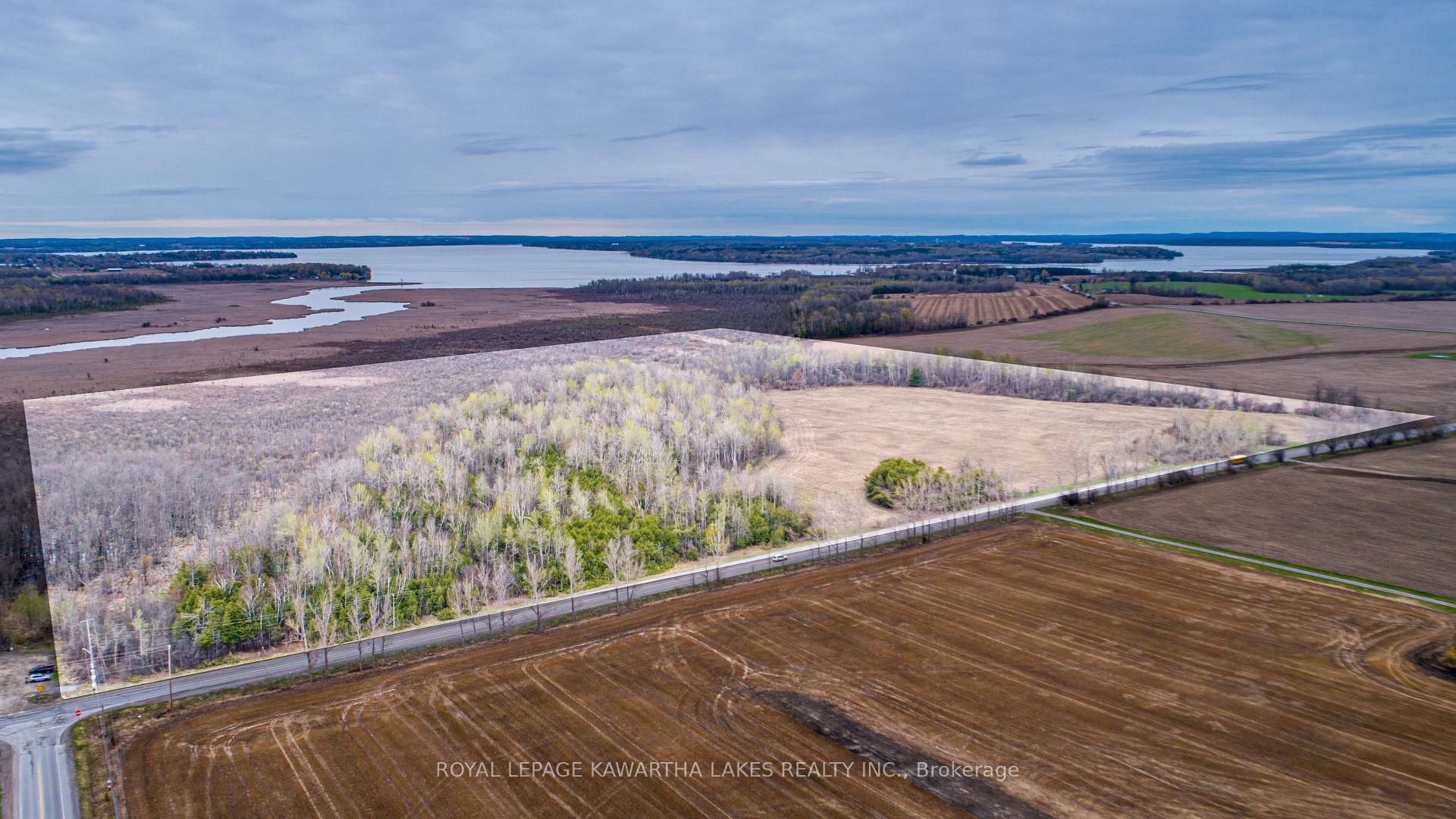 890 Ramsey Road, Kawartha Lakes, ON K0M 2C0