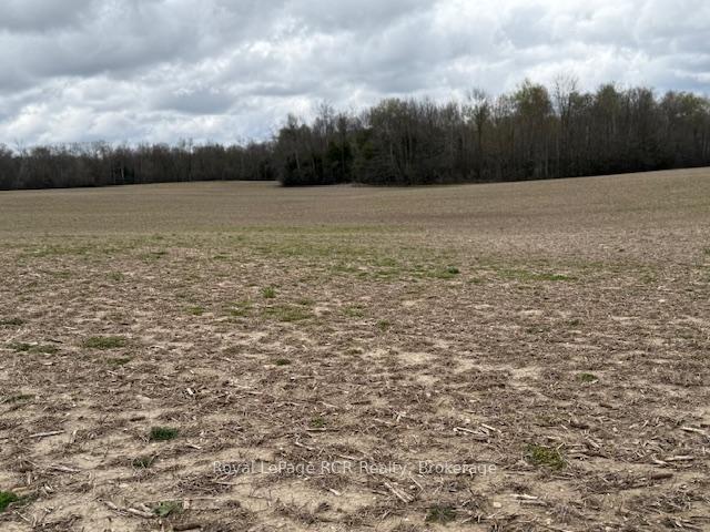 Lot 25 Con 7 Concession, West Grey, ON N0G 2L0